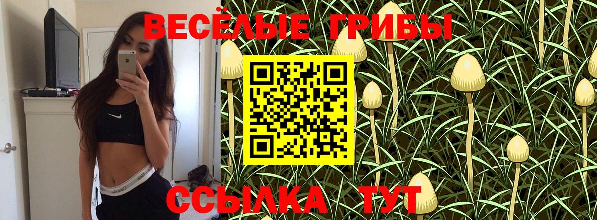 Псилоцибиновые грибы мицелий  Вход с VPN  Советская Гавань 