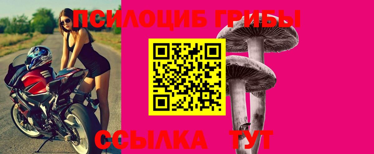 Галлюциногенные грибы мицелий Советская Гавань